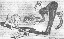 Karikatur aus den Kieler Nachrichten Januar 1955: Ministerpräsident von Hassel läßt den SSW nicht von der Fünf-Prozent-Leine, bietet nur die nackten Knochen eines Beirates an und hält die Wurst Landtagssitze versteckt