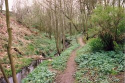 Relikt der Schleusentreppe "Pastorenschlucht" in Sülfeld