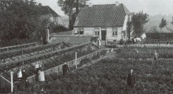 Der Betrieb von Wilhelm Kordes I. in Elmshorn: Seine 1887 gegründete Firma begann die Rosenzucht im großen Stil, die Holstein im 20. Jahrhundert zum "Rosenland" werden ließ