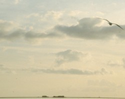 Halligen im schleswig-holsteinischen Wattenmeer
