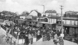 Mit den Kleinbahnen begann auch der Versandhandel der Landwirtschaft. Neben Meiereiprodukten wurde vor allem Vieh auf die Reise geschickt. Das Bild entstand 1927 in Sörup beim Verladen von Vieh für Rumänien.