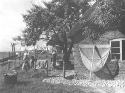 1931: Die "Gliep" der Familie Hansen trocknet nach dem "Porrnstriek" im Watt auf der Warft Treuberg auf der Hallig Nordmarsch-Langeneß