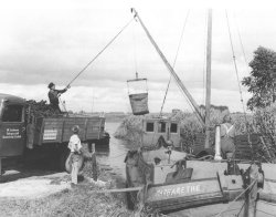 Dieses späte Bild vom Löschen von Torf auf einem Seitenarm der Weser zeigt, wie überall entlang der Küsten und der Wasserläufe mit einfachsten Mitteln umgeschlagen wurde