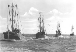 Krabbenkutter im Wattenmeer: obwohl inzwischen mit Motor betrieben haben die Rümpfe noch die typische Kutterform