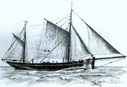 Mit Loggern wie der SG 19 begann die Heringsfischerei in Glückstadt. Das Schiff wurde 1906 gebaut und sank 1914.