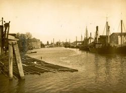 Blick auf die Dampfloggerflotte vor dem Gebäude der Heringsfischerei (der Admiralität)