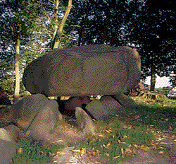 Der Brutkamp, Großsteingrab in Albersdorf, Dithmarschen