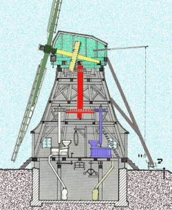 Nur noch die (grüne) Kappe der Holländermühle dreht. Das (gelbe) Kammrad kann über den gesamten Drehkreis seine Kraft auf die fest im Achtkant stehende (rote) Königswelle abgeben. An ihr großes Stirnrad lassen sich bis zu fünf von oben betriebene Mahlgänge(z.B. blau) einkuppeln. Mehl, Schrot oder Grütze werden im darunter liegenden Absackboden gesammelt (gelb).