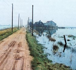 "Landunter" hinter den Deichen: Ein "normales Bild" nicht nur in den Marschen bis in die 1960er Jahre