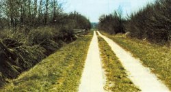 Aus vielen unbefestigten Feldwegen wurden dank der Betonspuren brauchbare ganzjährig befahrbare Wirtschaftswege, die heute auch von Radtouristen gerne für Fahrten durchs Land genutzt werden