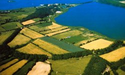 Wall und die oben zur Schlei hin gelegenen befestigte Anhöhe von Haithabu sind noch heute zu erkennen