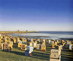 Strandkörbe am grünen Strand von Büsum