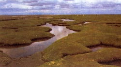 Utlande