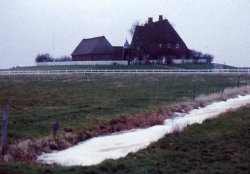 Kirchwarft auf Hallig Hooge