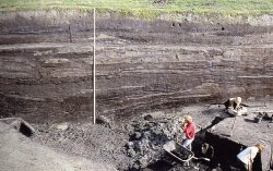 Wie die Wurten Schicht für Schicht erhöht wurden, läßt sich im Schnitt noch heute bei Ausgrabungen klar erkennen